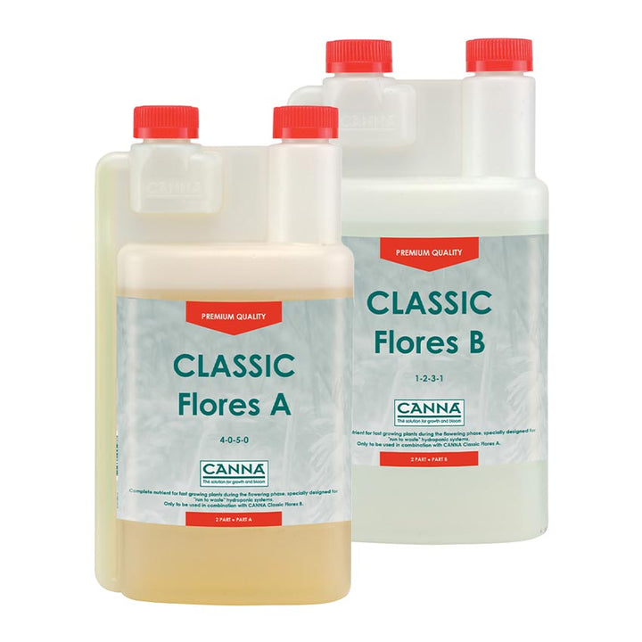 Classic Flores A & B by Canna