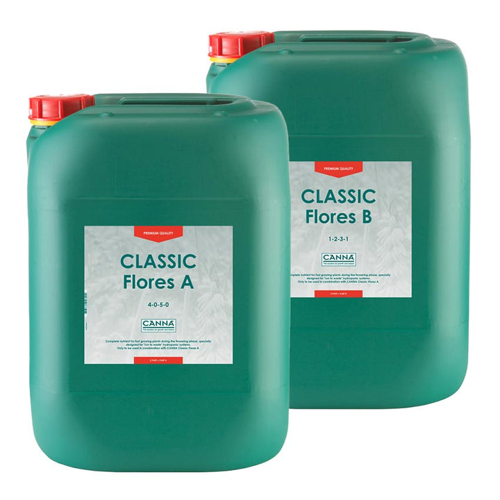 Classic Flores A & B by Canna
