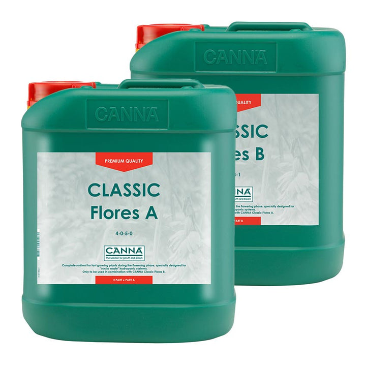 Classic Flores A & B by Canna