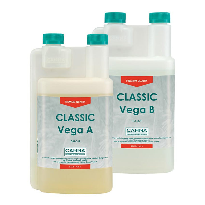 Classic Vega - A & B by Canna