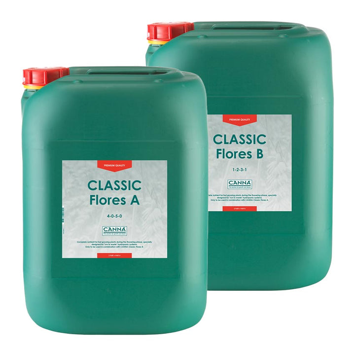 Classic Vega - A & B by Canna