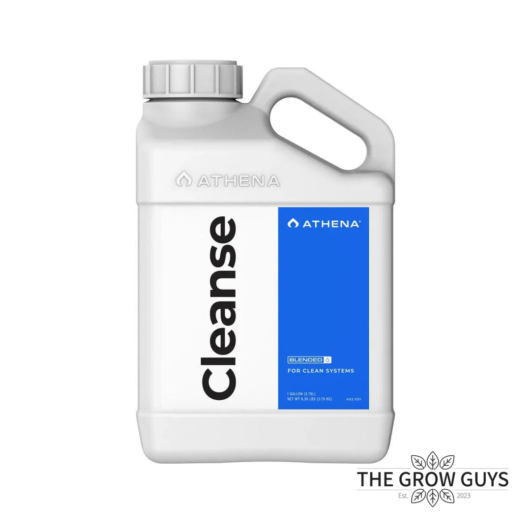 Cleanse by Athena
