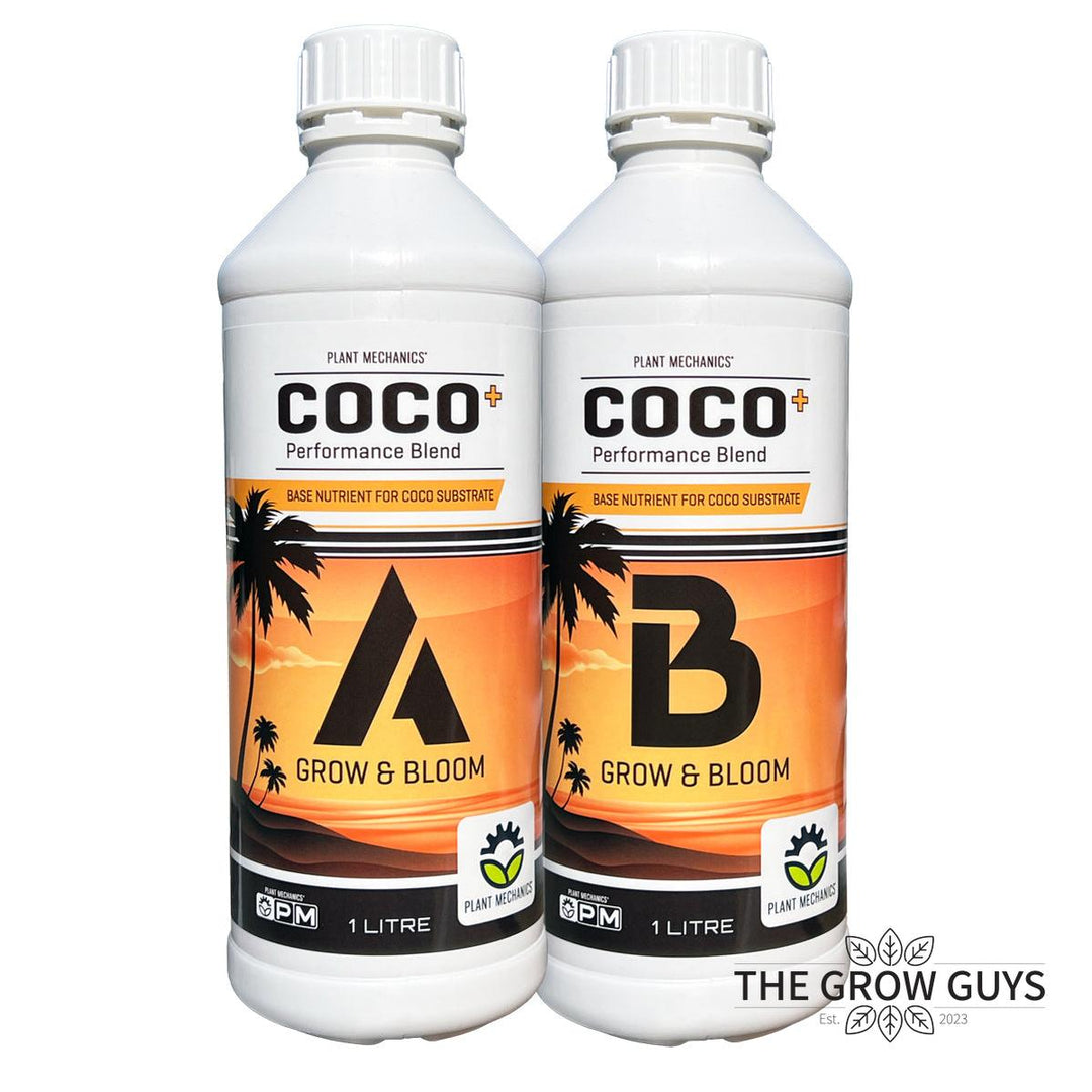Coco + (A&B Set) by Plant Mechanics