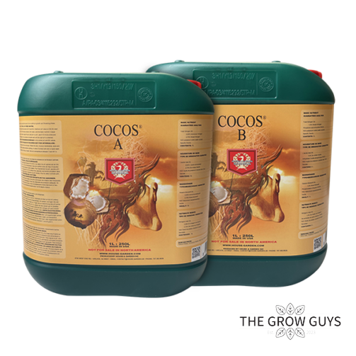 Coco's (A&B Set) by House & Garden