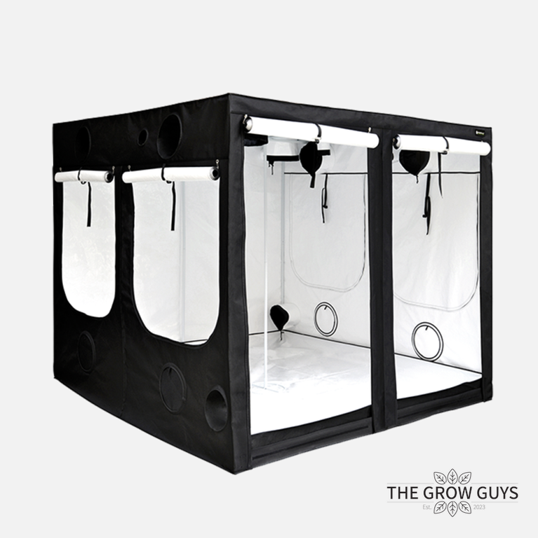 Evolution Q240 by HOMEbox - Premium Grow Tent (2.0m High)