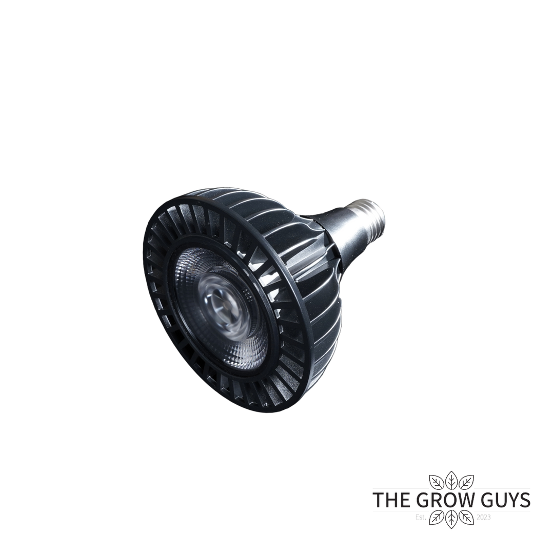 GB Series LED Grow Bulb by Treegers — Full-Spectrum E27 Grow Light (15W or 30W)