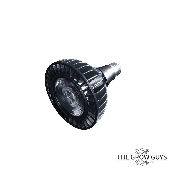 GB Series LED Grow Bulb by Treegers — Full-Spectrum E27 Grow Light (15W or 30W)
