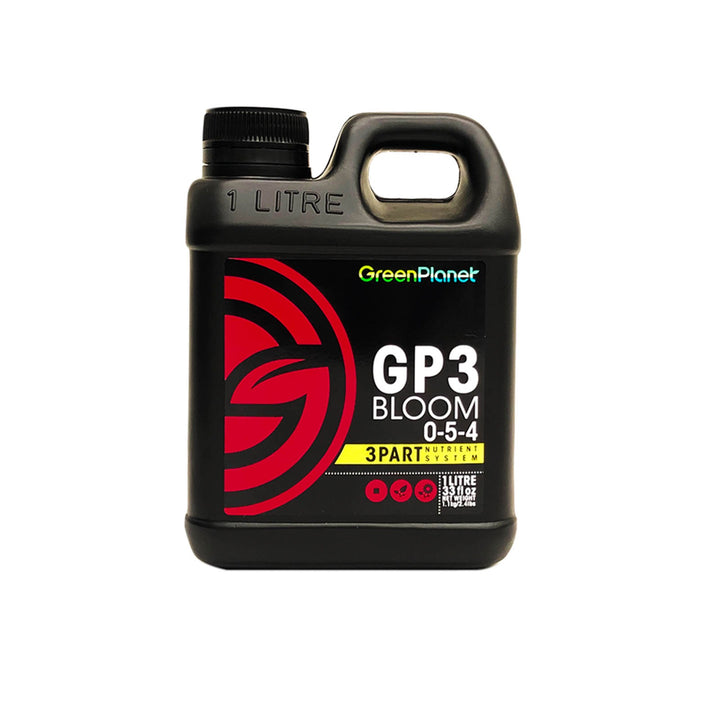 GP3 Bloom