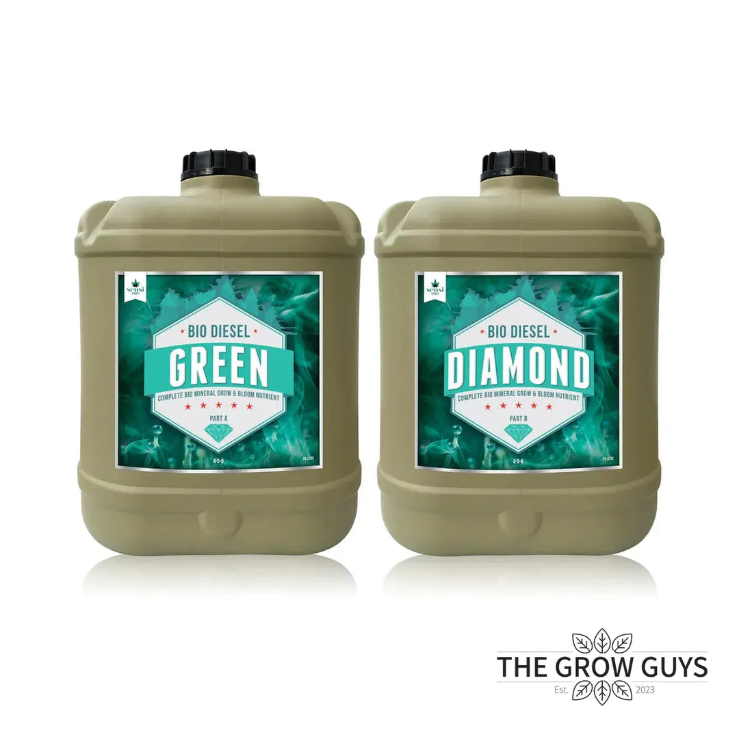 Green Diamond (A&B Set) by Bio Diesel
