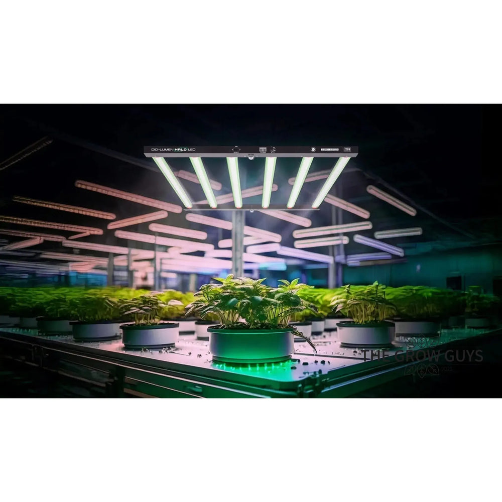 Halo 720 W LED by Digi‑Lumen – 6‑Bar Bi‑Fold Grow Light