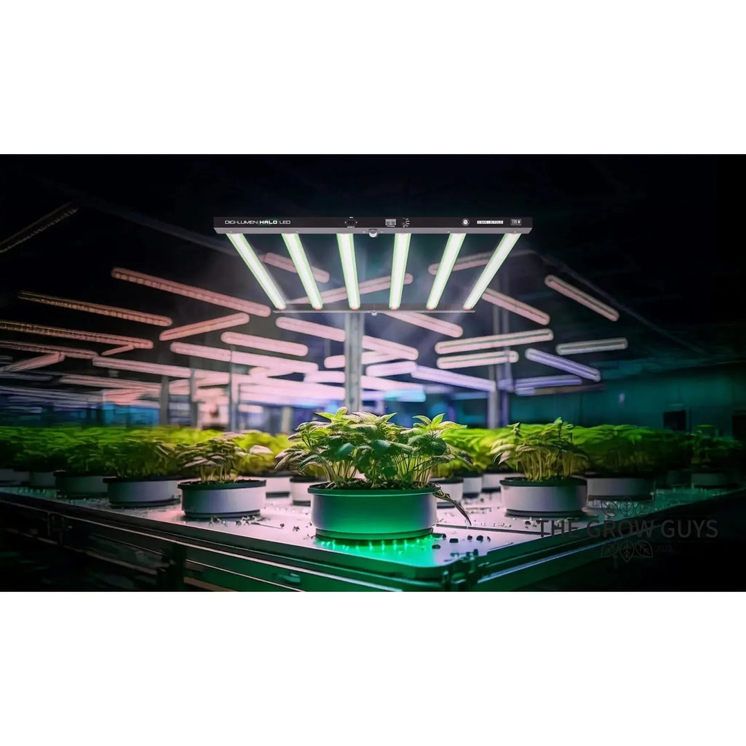 Halo 720 W LED by Digi‑Lumen – 6‑Bar Bi‑Fold Grow Light