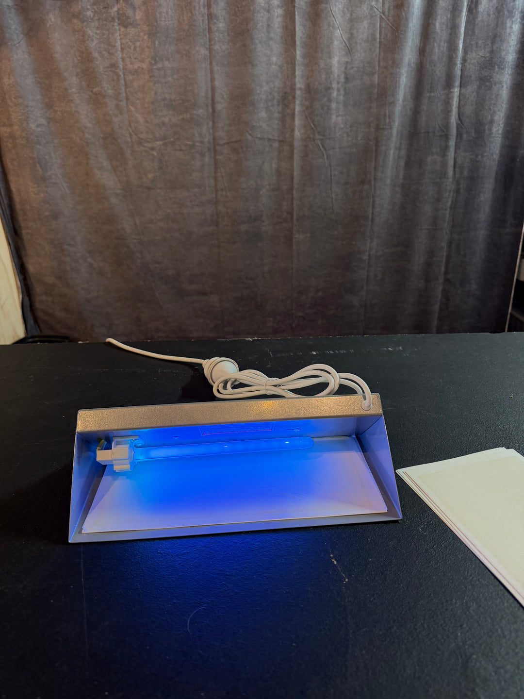 The Fly Trap — UV Glue Card Trap for Fungus Gnats and Thrips