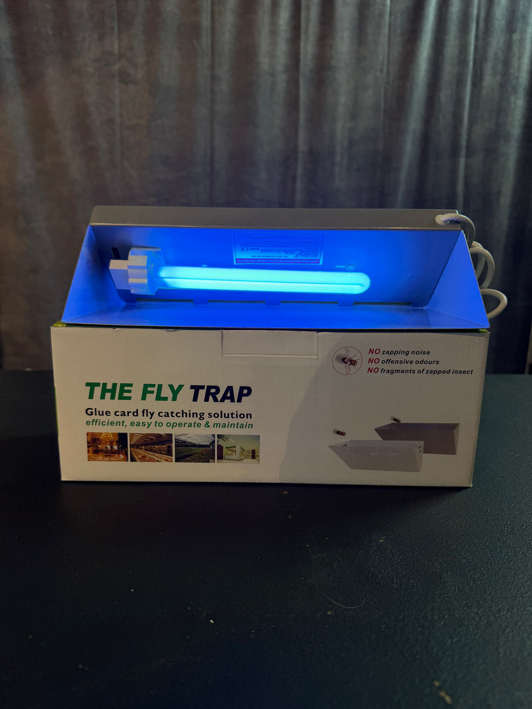 The Fly Trap — UV Glue Card Trap for Fungus Gnats and Thrips