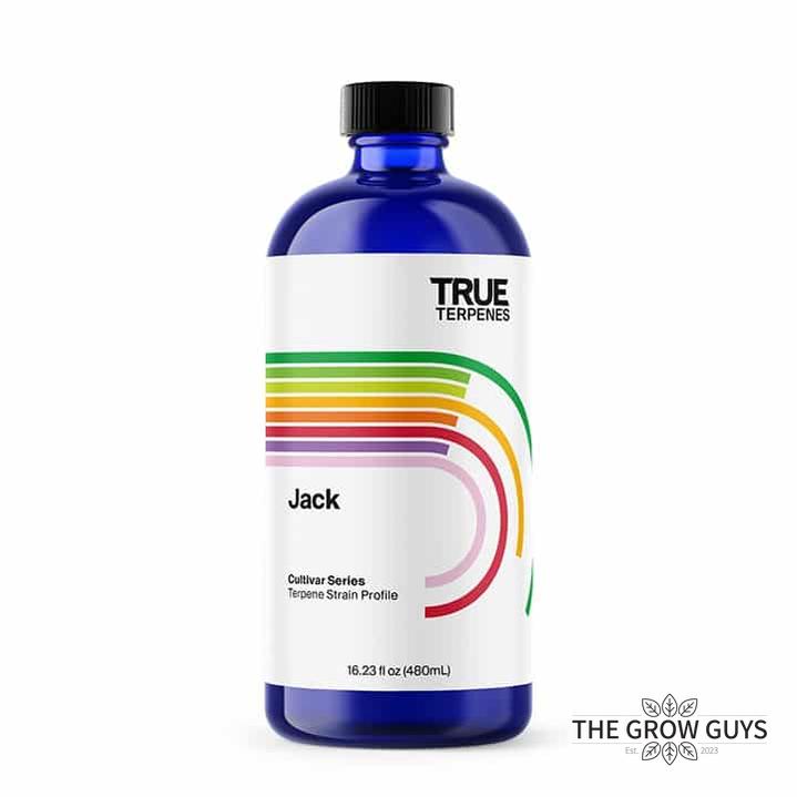Jack by True Terpenes – Cultivar Series Citrus-Gas Sativa