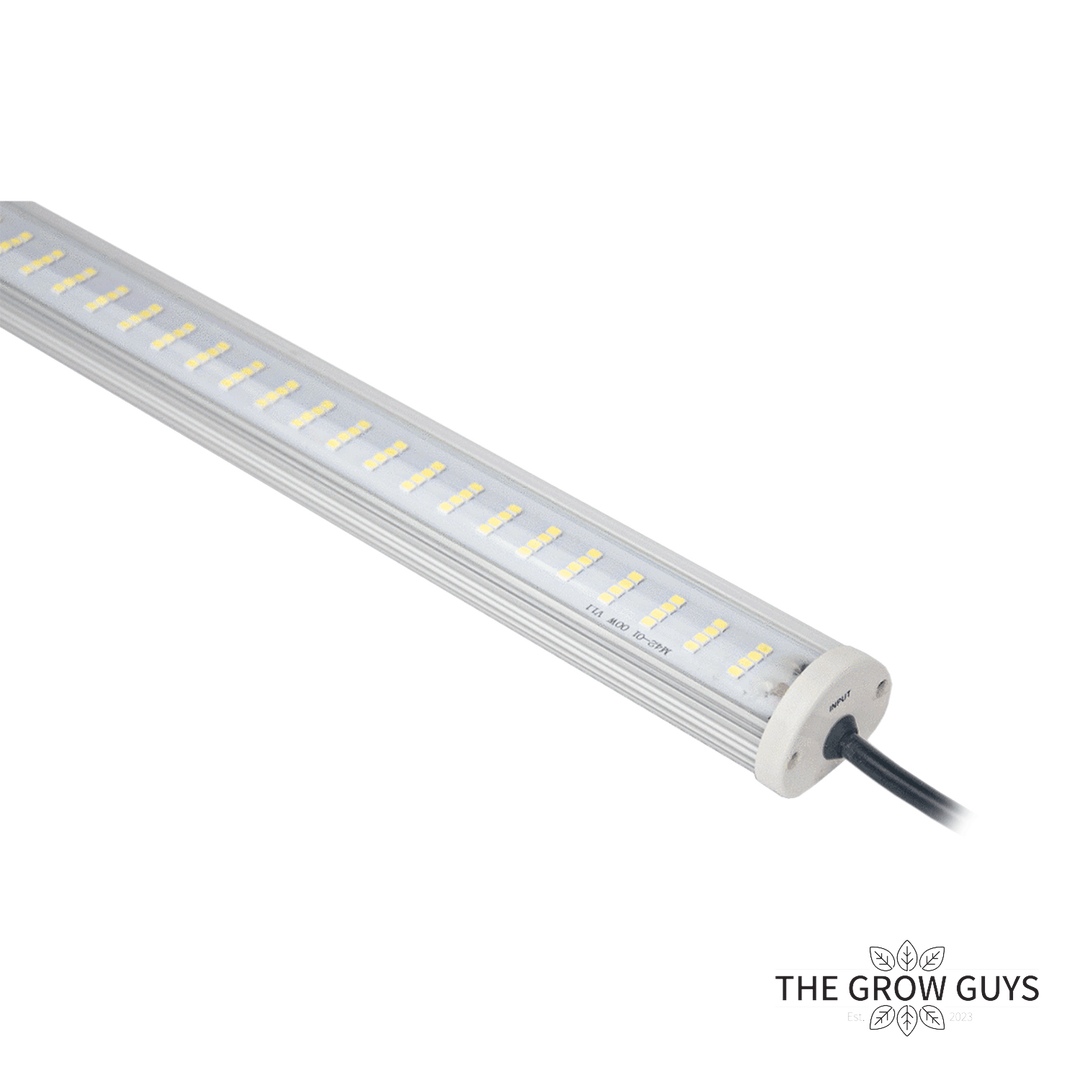 LED Grow and Bloom Bars by IntroGro — 26W & 42W Linkable Light Bars