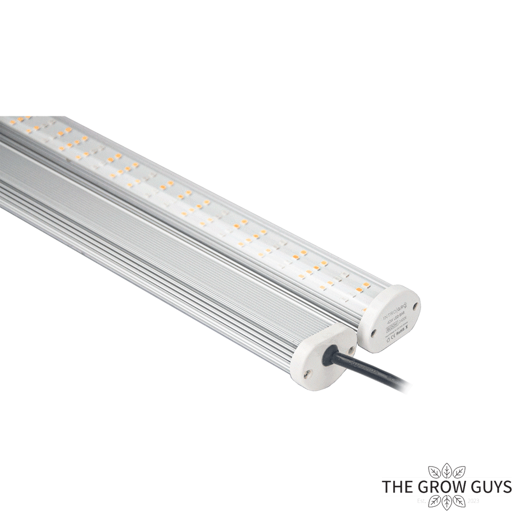 IntroGro 26W LED grow bar included in the propagation kit, slimline veg spectrum light for cuttings