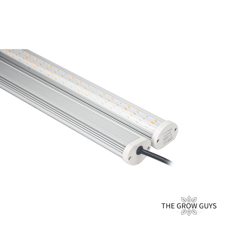 IntroGro 26W LED grow bar included in the propagation kit, slimline veg spectrum light for cuttings