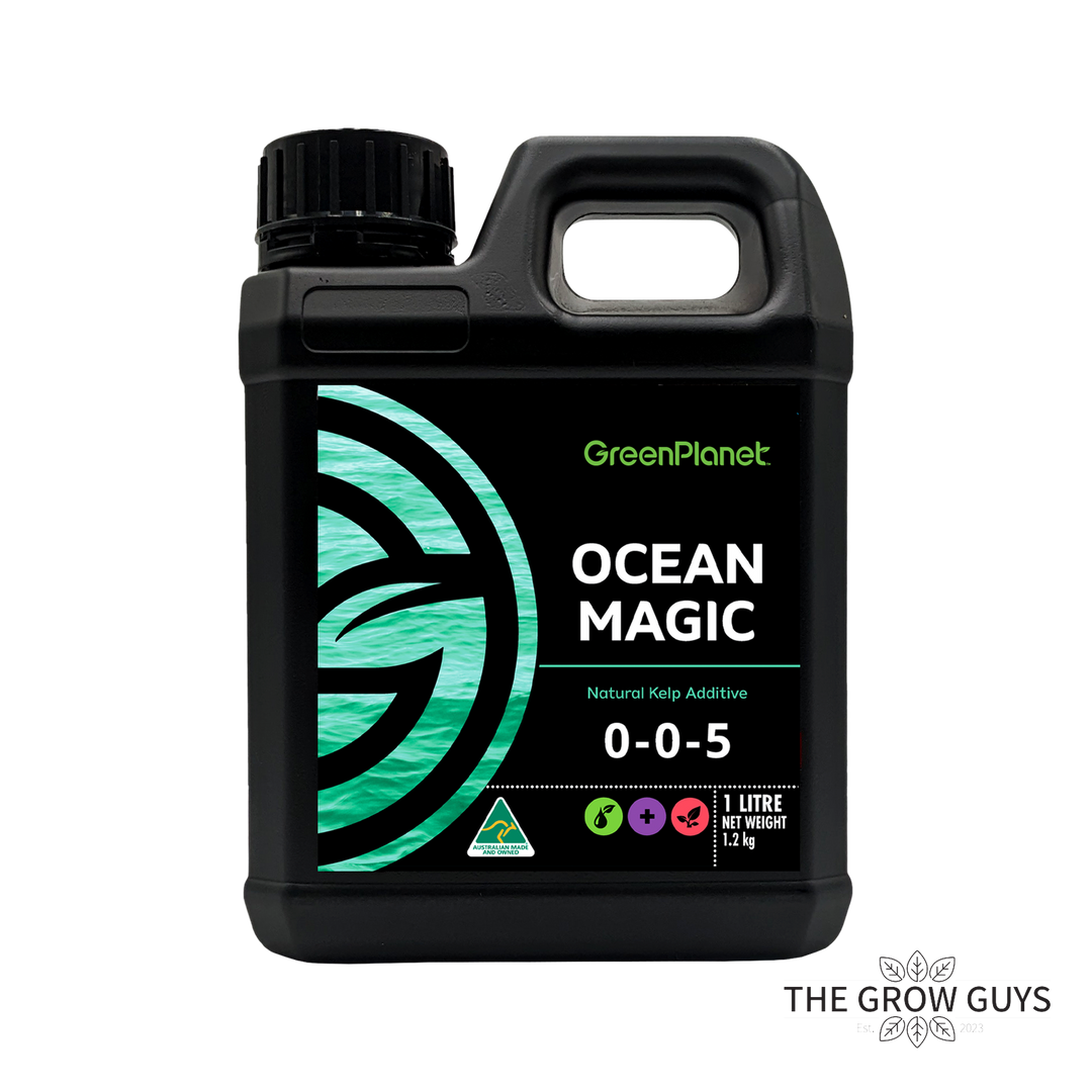 Ocean Magic by Green Planet — Cold-Pressed Kelp Veg Booster