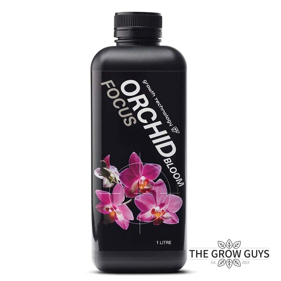 Orchid Focus Bloom by Growth Technology