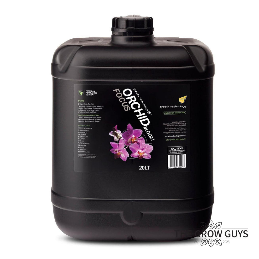 Orchid Focus Bloom by Growth Technology