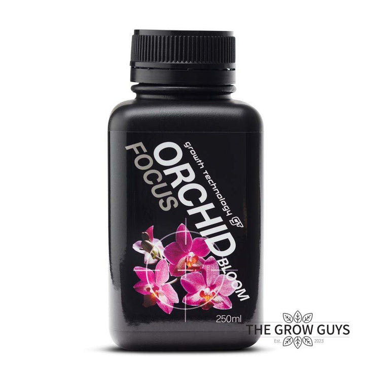 Orchid Focus Bloom by Growth Technology