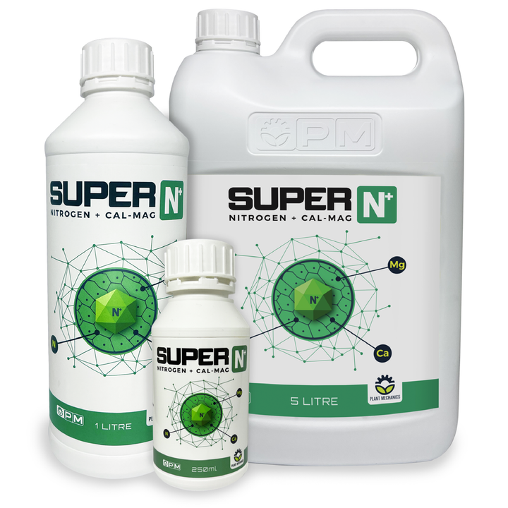 Super N+
