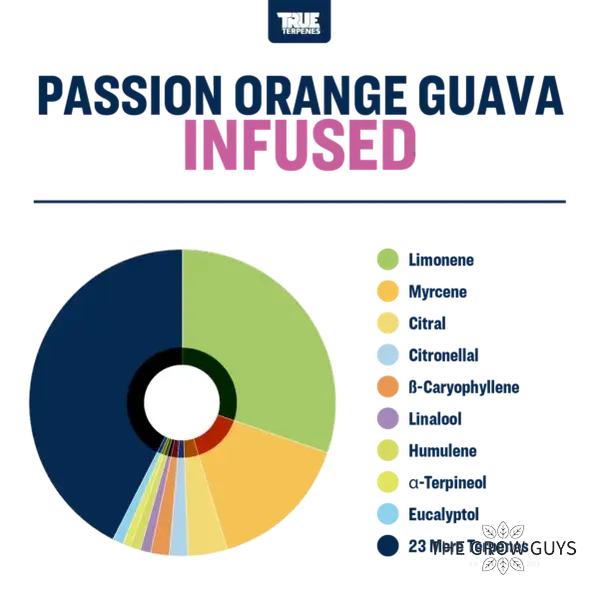 Passion Orange Guava by True Terpenes – Tropical Sativa Blend