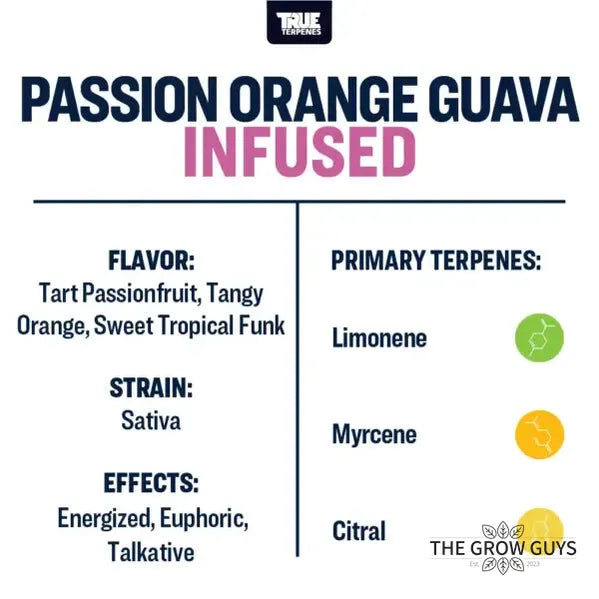 Passion Orange Guava by True Terpenes – Tropical Sativa Blend