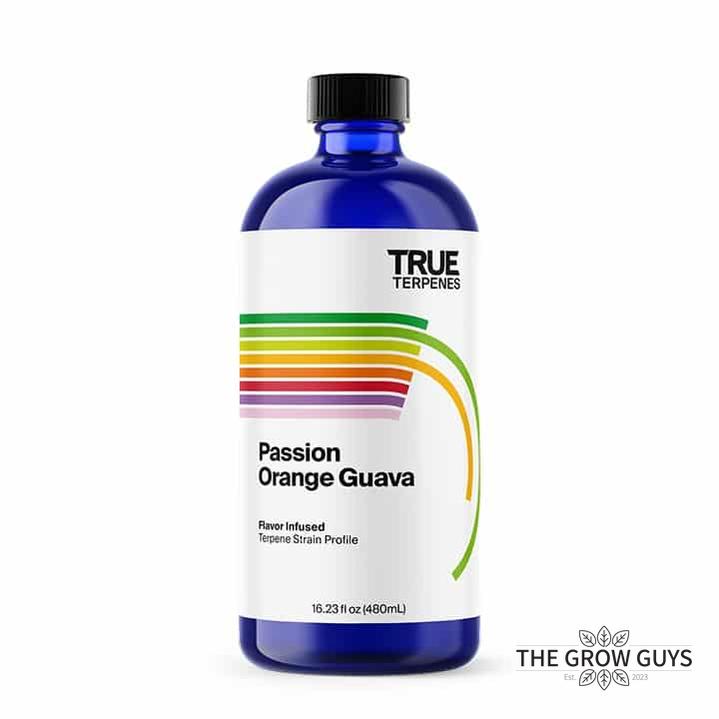 Passion Orange Guava by True Terpenes – Tropical Sativa Blend