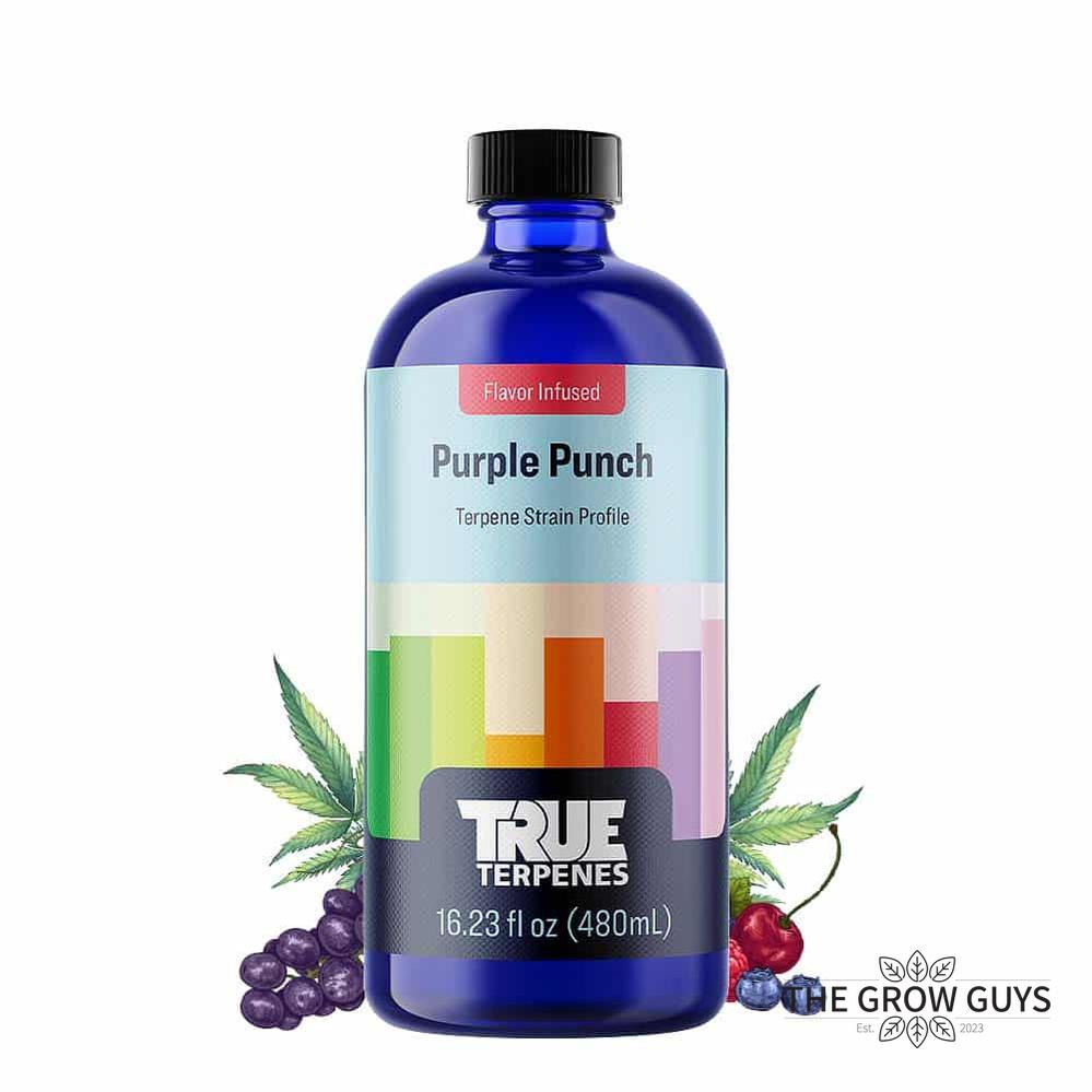 Purple Punch by True Terpenes – Indica Grape Candy Classic