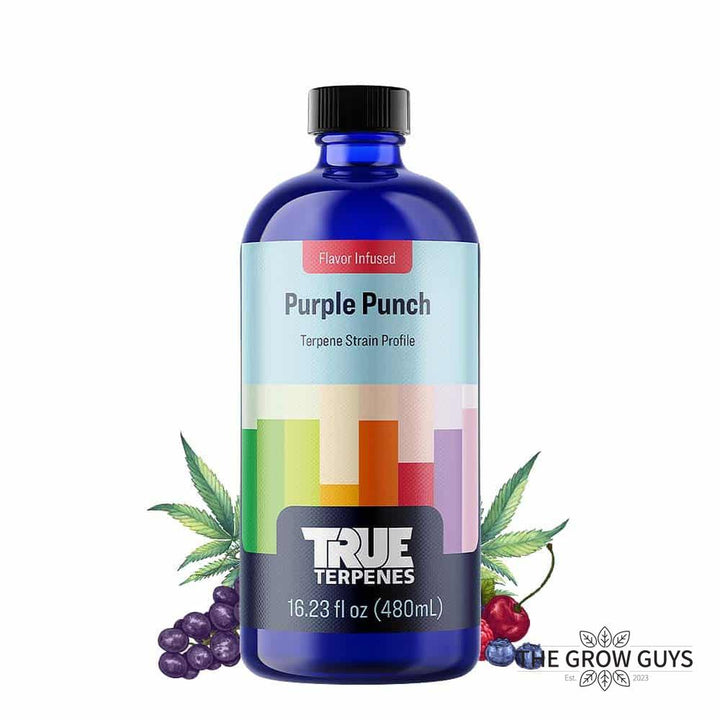 Purple Punch by True Terpenes – Indica Grape Candy Classic