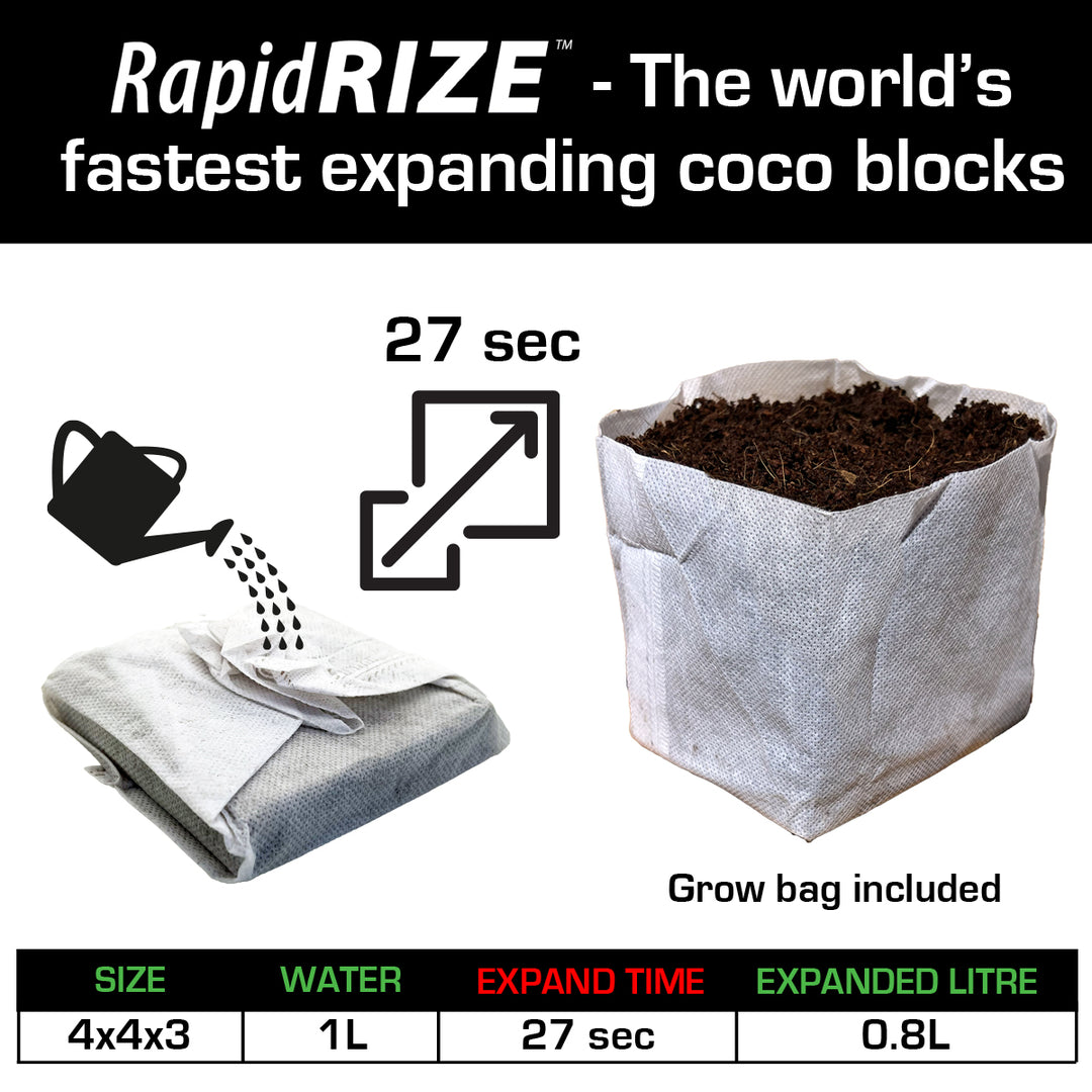 Rapid Rize Coco Block by QuikGro
