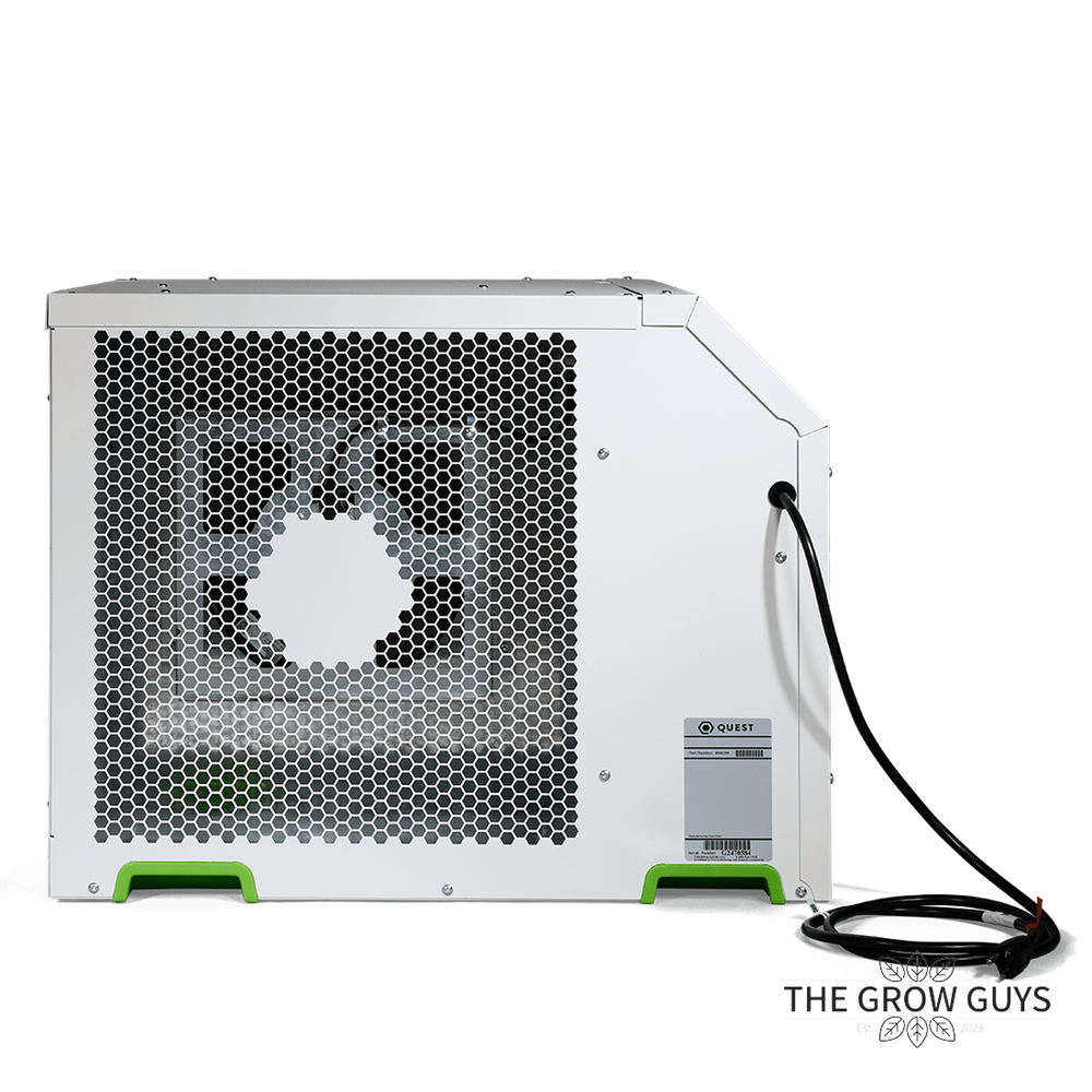 Quest 200 by Quest – Big Room, Bone Dry