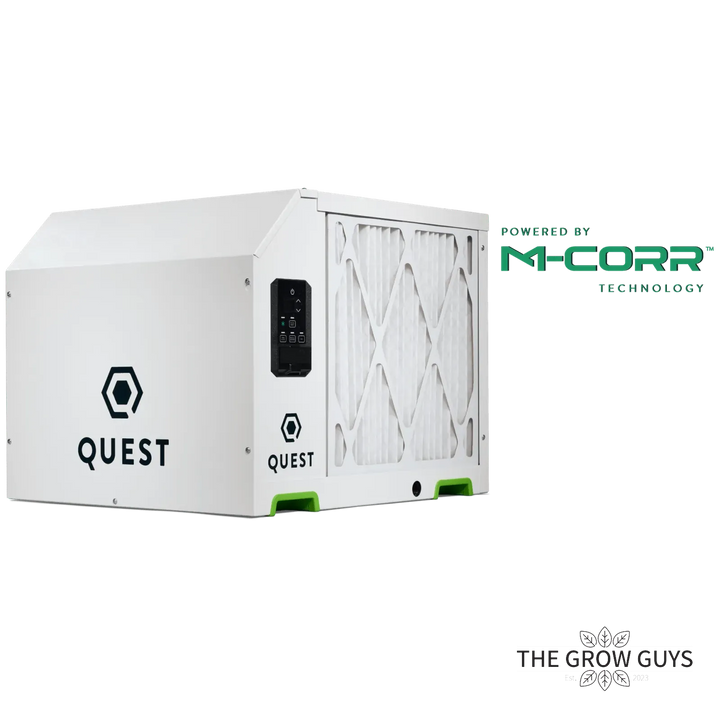 Quest 200 by Quest – Big Room, Bone Dry