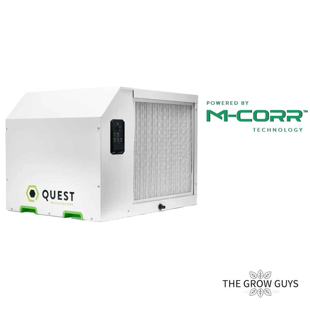 Quest 375 by Quest – Big Room. Big Power. Big Dry.