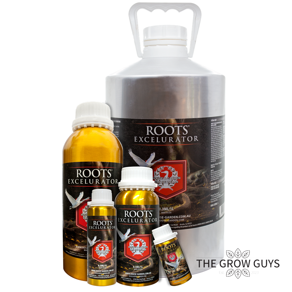 Roots Excelurator by House & Garden