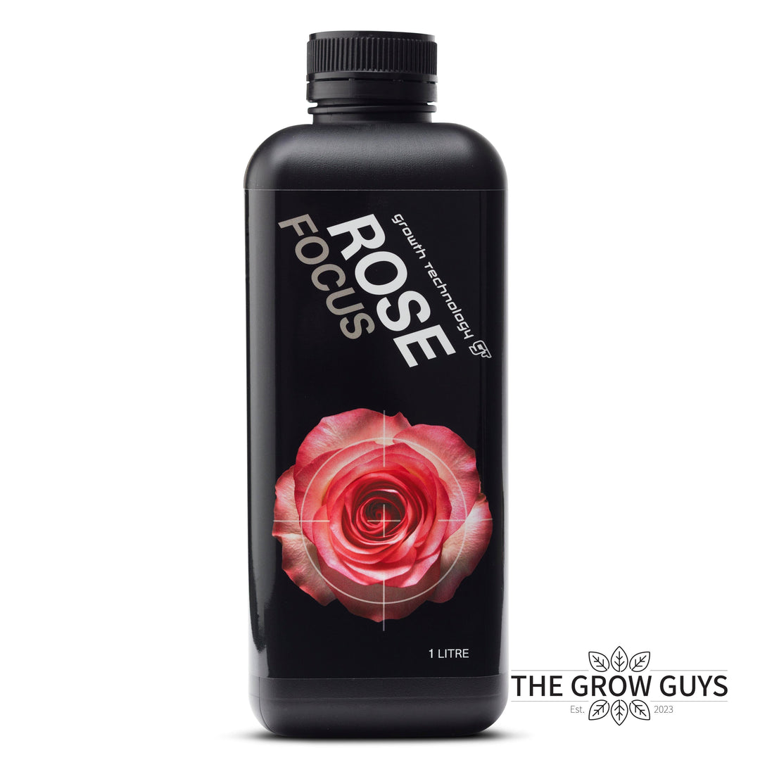Rose Focus by Growth Technology