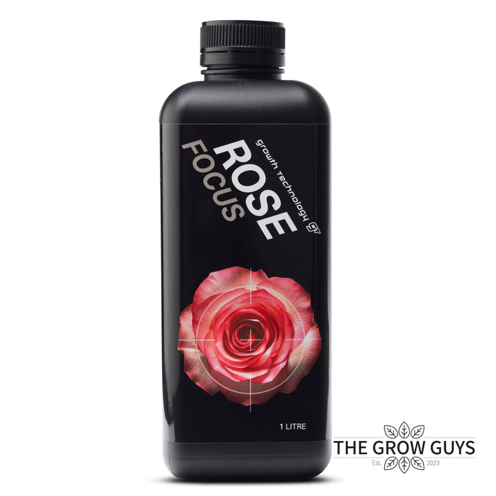 Rose Focus by Growth Technology