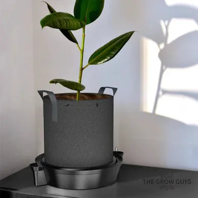 Self-Watering Fabric Pot Base by AC Infinity — 4-Pack Hands-Free Watering Trays