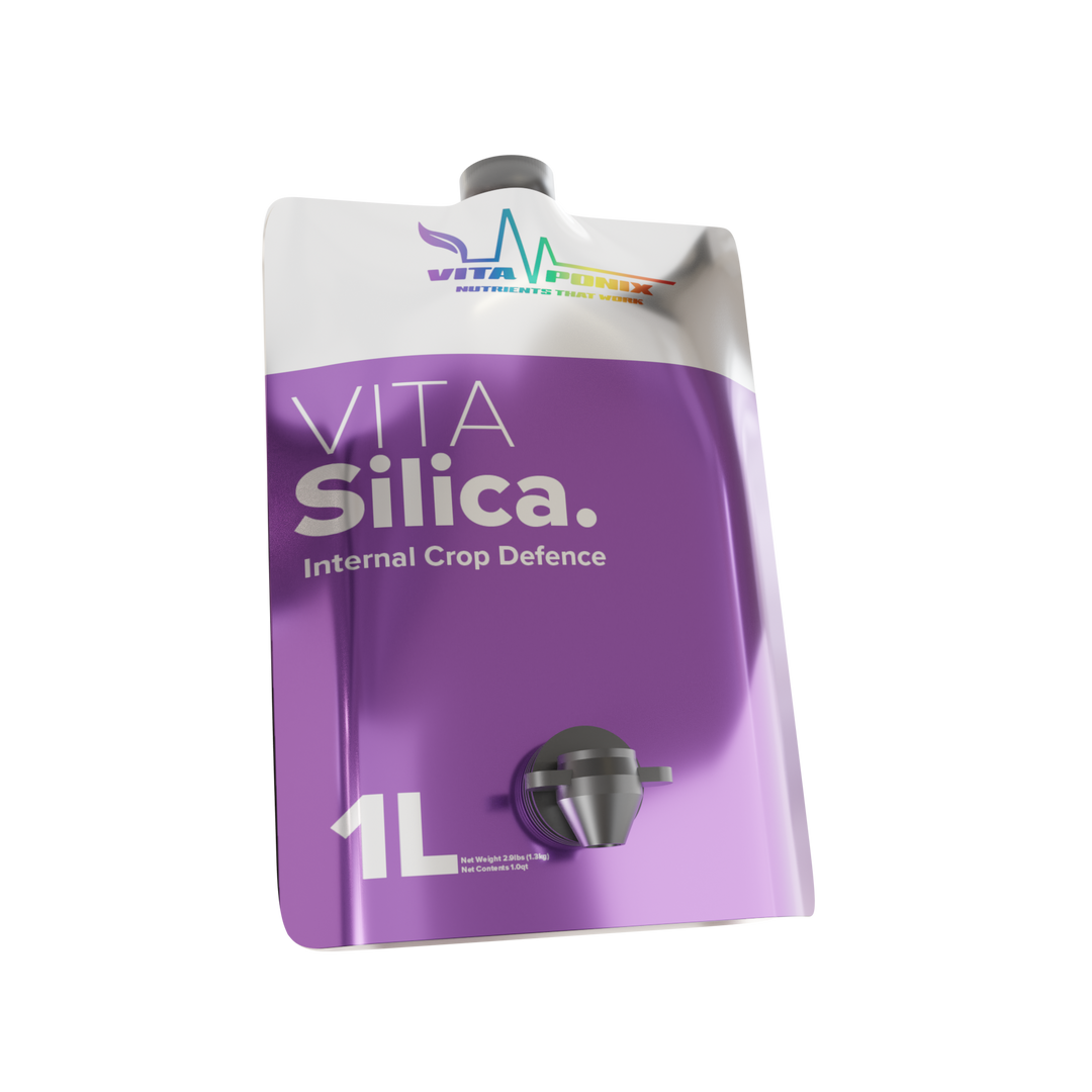 Vita Silica by VitaPonix