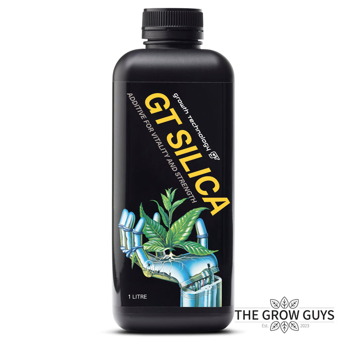 Silica by Growth Technology