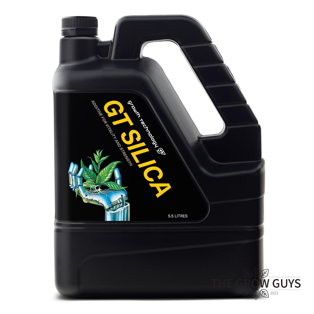 Silica by Growth Technology