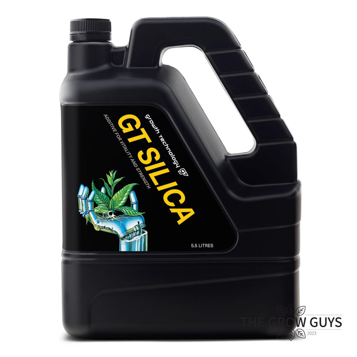 Silica by Growth Technology