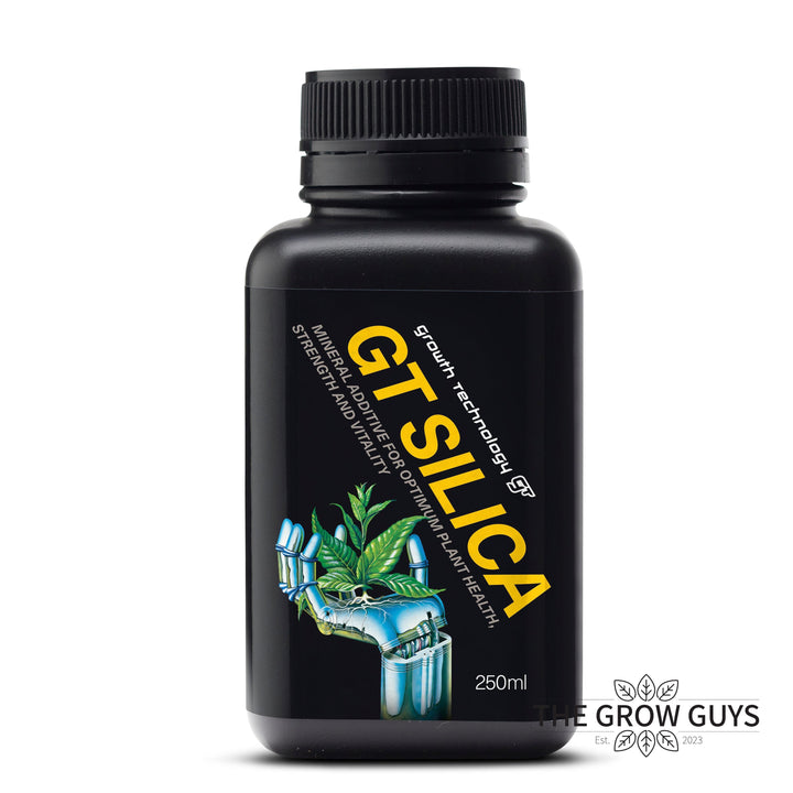 Silica by Growth Technology