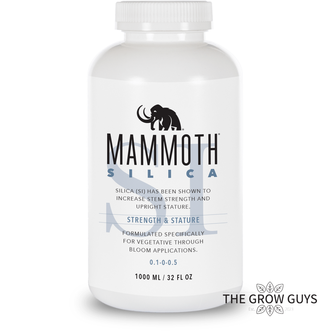 Silica by Mammoth Ag