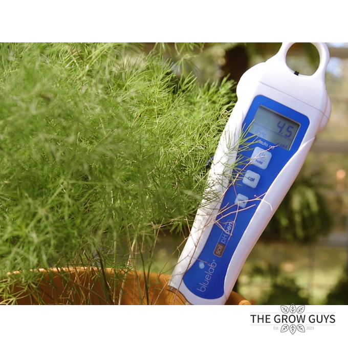 Soil pH Pen by Bluelab — Direct-Reading Soil & Media pH Meter