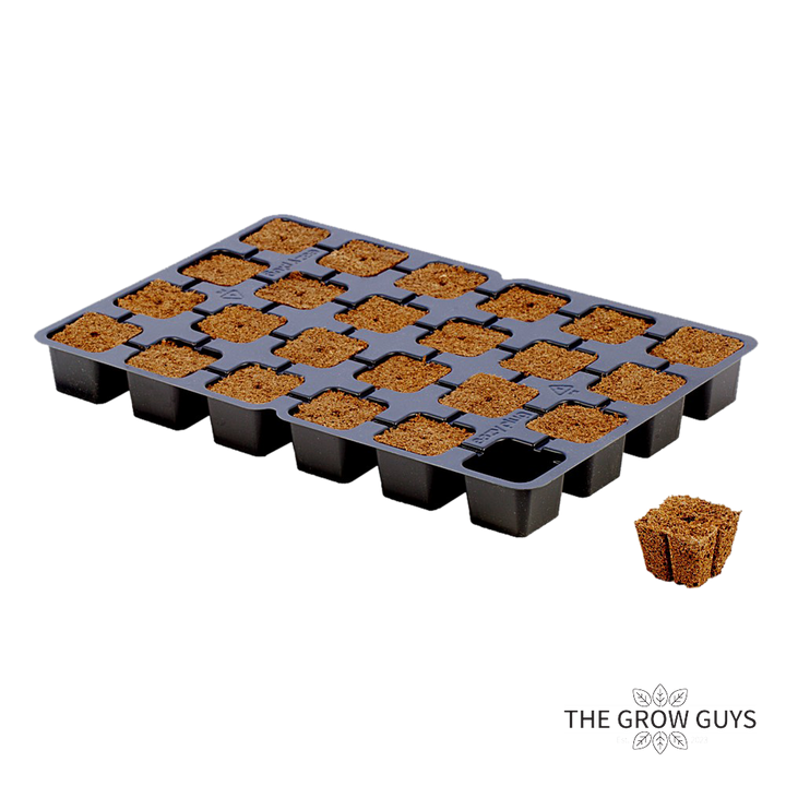 Square Cubes by Eazy Plug – Fast, Fuss-Free Propagation Plugs