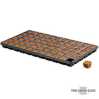 Square Cubes by Eazy Plug – Fast, Fuss-Free Propagation Plugs