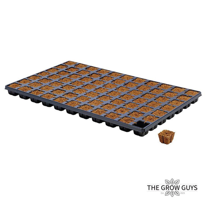 Square Cubes by Eazy Plug – Fast, Fuss-Free Propagation Plugs