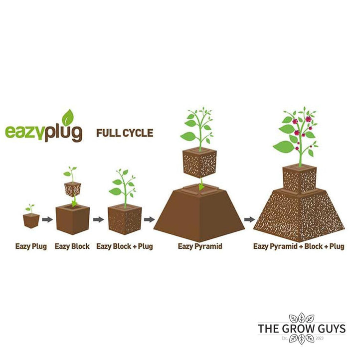 Square Cubes by Eazy Plug – Fast, Fuss-Free Propagation Plugs